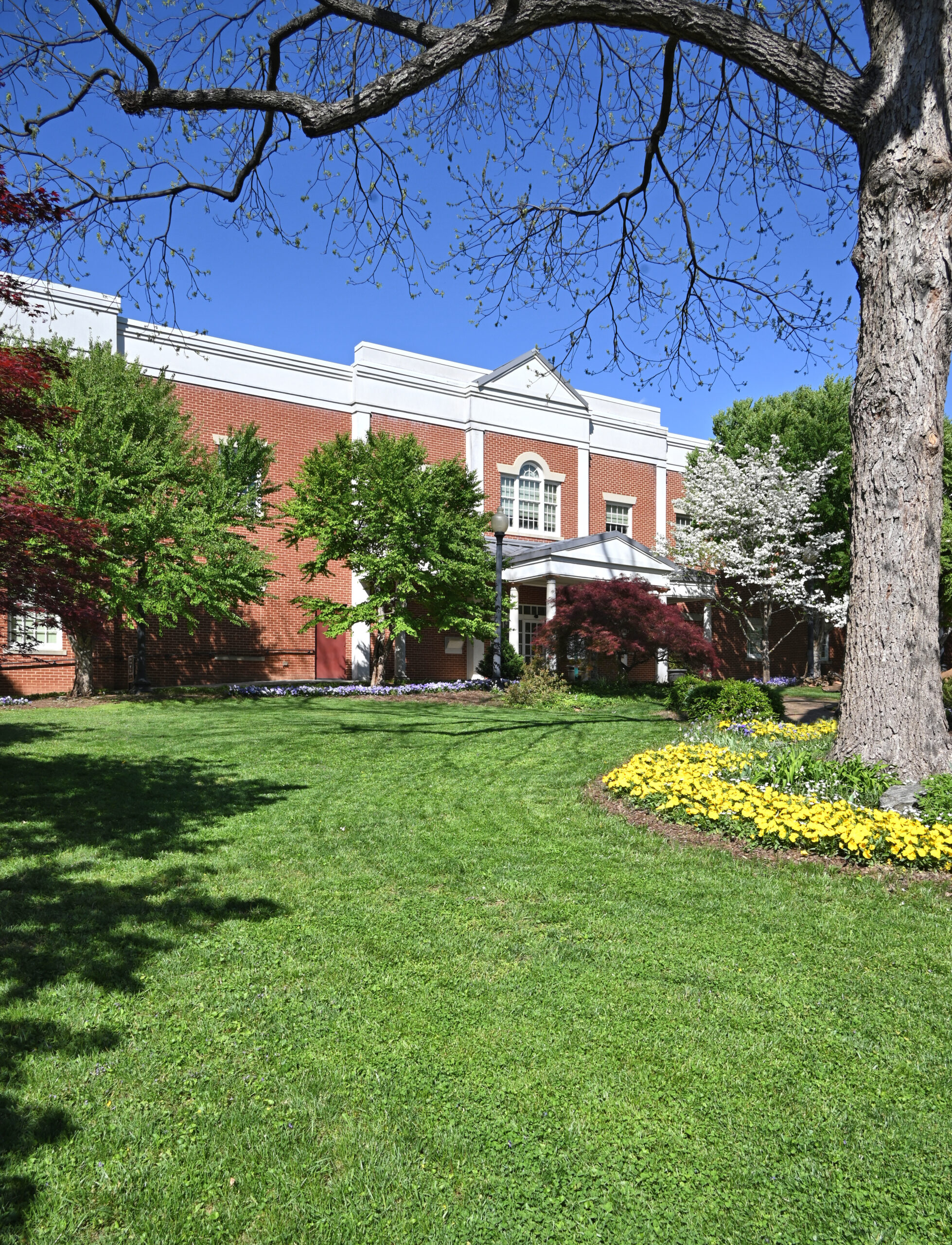 View of Bedford Central Library from the Wharton Garden path